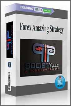 Pipsociety – Forex Amazing Strategy