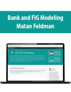 Bank And FIG Modeling By Matan Feldman