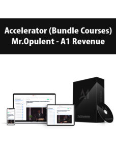 Accelerator (Bundle Courses) By Mr.Opulent – A1 Revenue