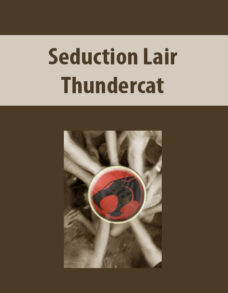Seduction Lair by Thundercat