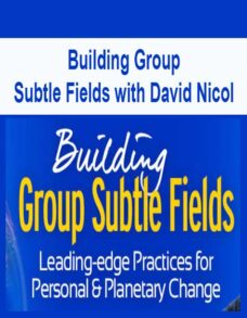 Building Group Subtle Fields with David Nicol