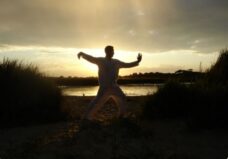 Sung in Tai Chi 2023: Distinguishing Relaxing and Releasing Your Qi By Bruce Frantzis & Craig Barnes